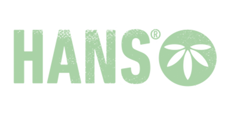 HANS Brainfood Logo
