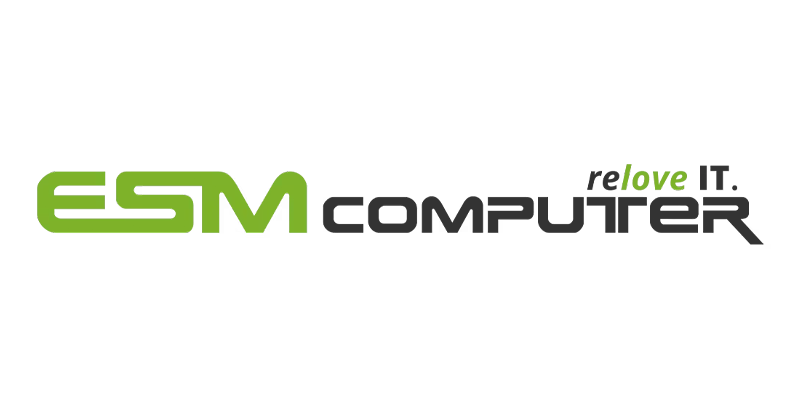 ESM Computer  Logo