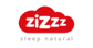 Zizzz Logo