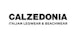 Calzedonia Gutscheine Calzedonia Logo
