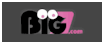 Big7 Logo