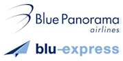 Blue Panorama Logo