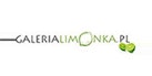 Do 70% rabatu na wyprzedaży oświetlenia Galeria Limonka