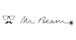 Mr Beam Logo