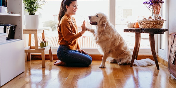 Hundehaftpflichtversicherung