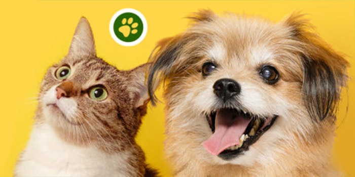 Zooplus: 5% Rabatt auf die Top-Seller